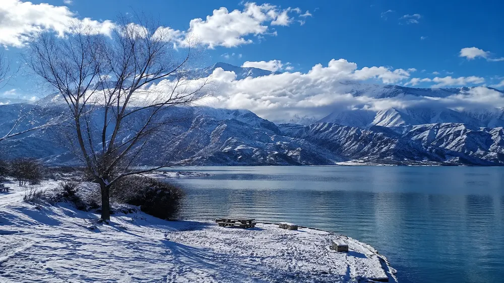 Potrerillos en invierno