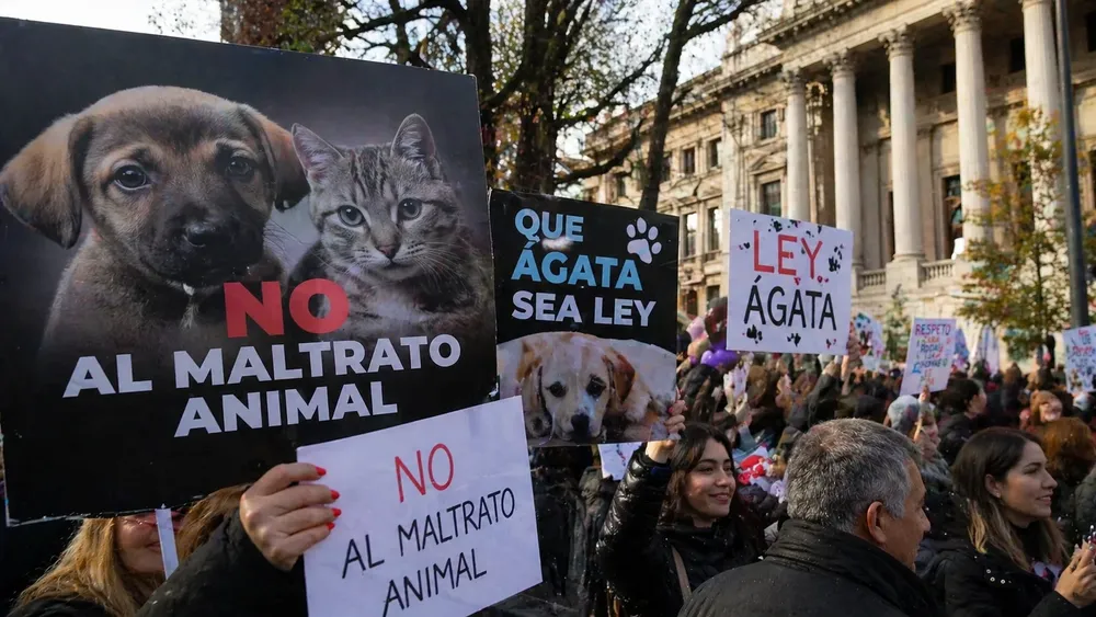 LEY