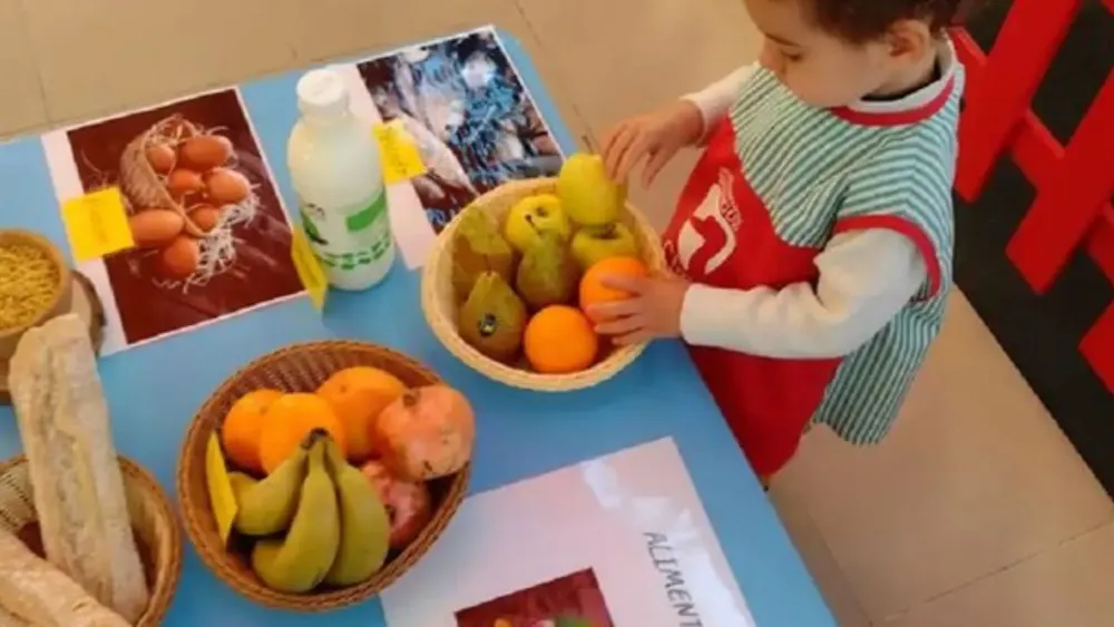 Alimentación saludable