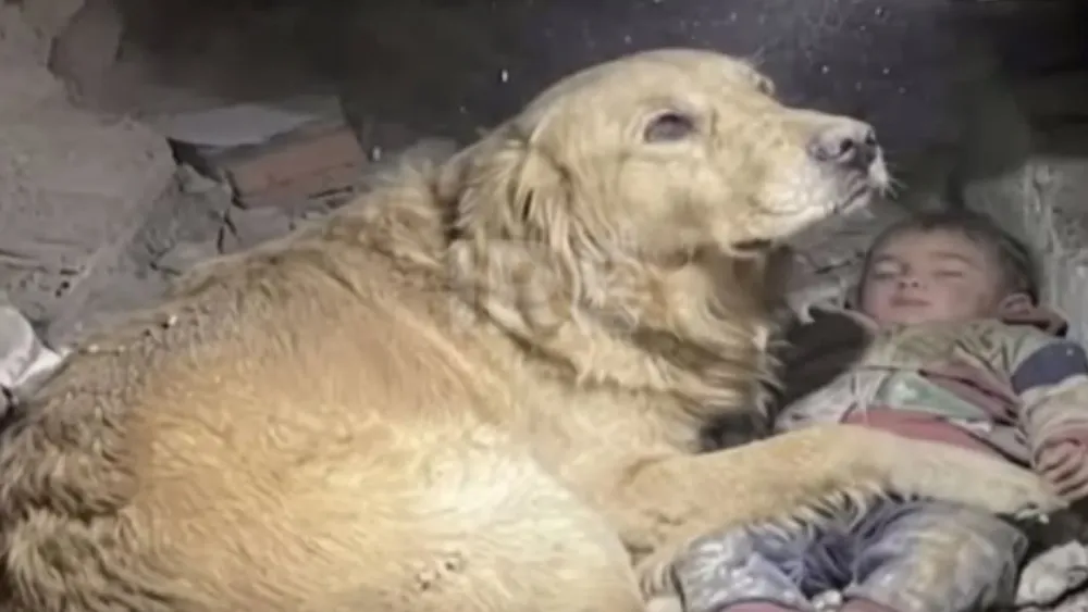 Perrito cuida a bebé en terremoto