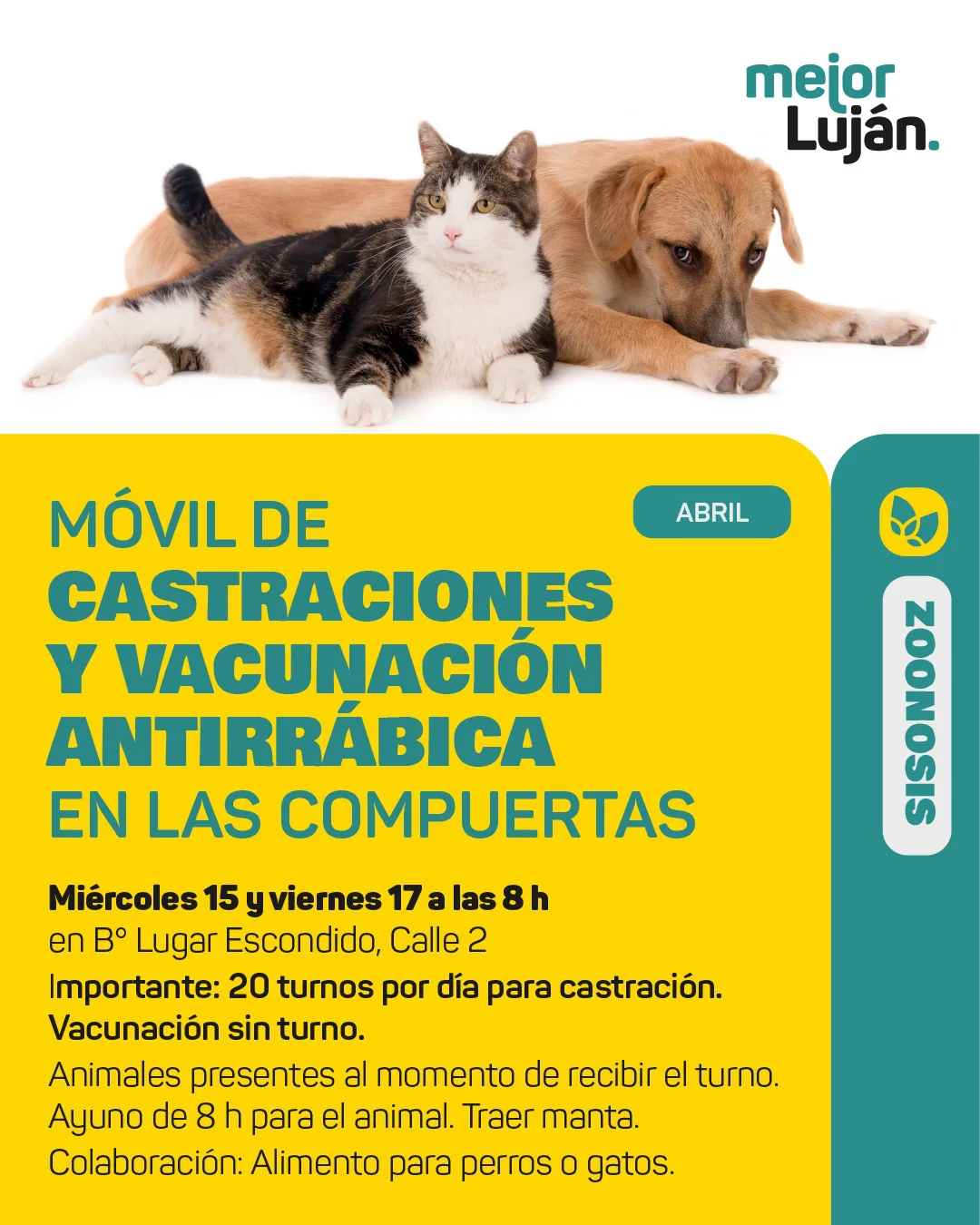 Flyer móvil veterinario